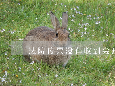 法院传票没有收到会开庭吗