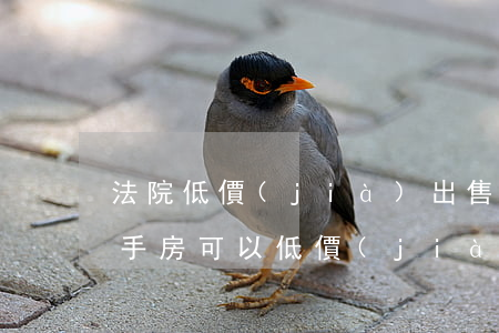 法院低價(jià)出售二手房可以買嗎(二手房可以低價(jià)賤賣嗎)