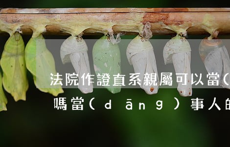 法院作證直系親屬可以當(dāng)人證嗎(當(dāng)事人的親屬可以做證人嗎)