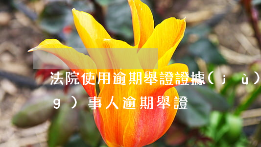 法院使用逾期舉證證據(jù)(當(dāng)事人逾期舉證)