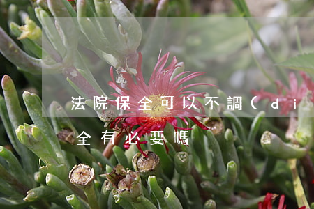 法院保全可以不調(diào)查嗎(訴訟保全有必要嗎)