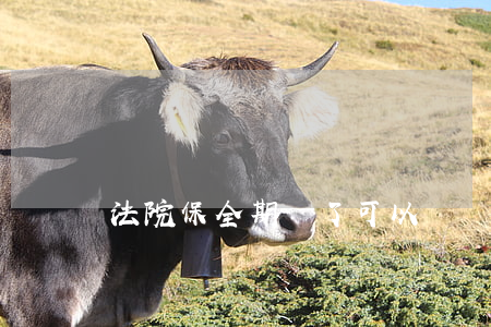 法院保全期過了可以繼續(xù)保全嗎