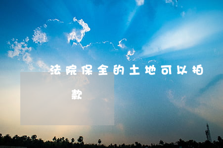 法院保全的土地可以拍賣嗎(能否保全法院拍賣款)