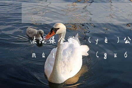 法院保全置業(yè)公司土地可以拍賣(mài)嗎(國(guó)有土地的房子能被法院拍賣(mài)嗎)