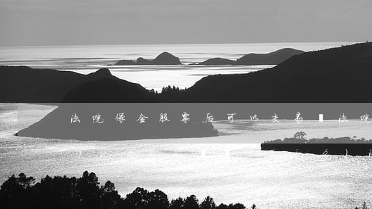 法院保全股票后可以交易嗎(法院保全股權(quán)凍結(jié)流程)