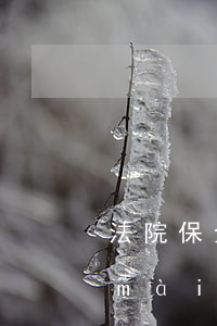 法院保全農(nóng)村宅基地可以賣(mài)嗎(農(nóng)村宅基地可以保全嗎?)