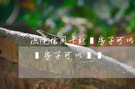 法院信用卡起訴房子可以買嗎(法院信用卡起訴房子可以買嗎)