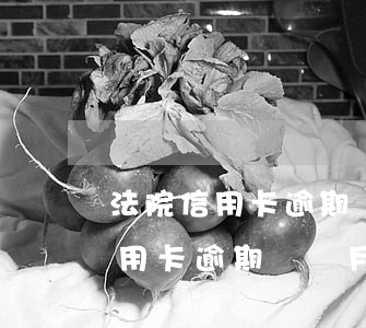 法院信用卡逾期執(zhí)行要幾天(我信用卡逾期幾個月了他們說要告我上法院)