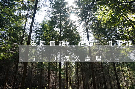 法院借錢沒錢還-借了錢沒錢還法院會(huì)怎么處理