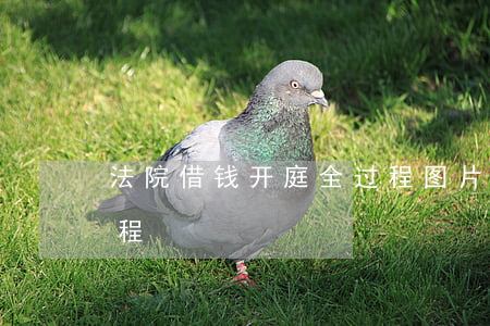 法院借钱开庭全过程图片（法院借钱开庭全过程）