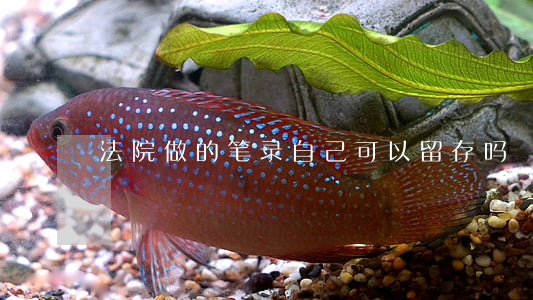 法院做的笔录自己可以留存吗