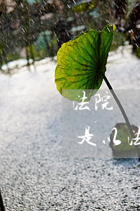 法院傳票可以由快遞員送達本人嗎(法院傳票是以法院的名義寄送的嗎)
