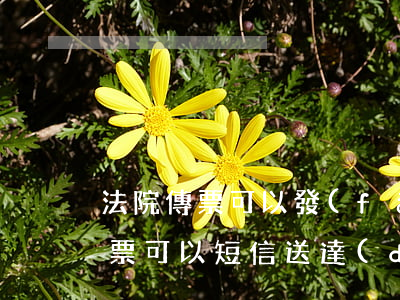 法院傳票可以發(fā)短信通知嗎(法院傳票可以短信送達(dá)嗎)
