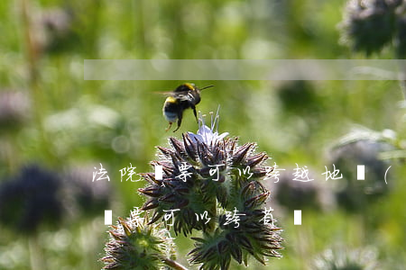 法院傳票可以跨越地區(qū)傳喚嗎(法院傳票可以跨省嗎)