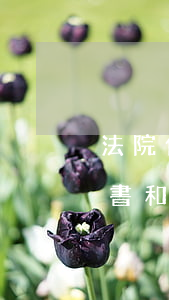 法院傳票寫著質(zhì)證可以嗎(法院文書和傳票的區(qū)別)