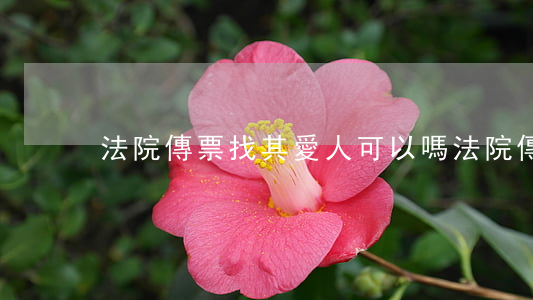 法院傳票找其愛人可以嗎(法院傳票找不到人)