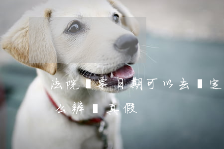 法院傳票日期可以去鑒定嗎(收到法院傳票怎么辨別真假)