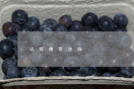 法院傳票查詢