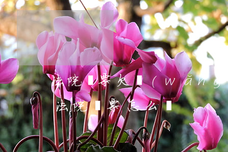 法院傳票欠網(wǎng)貸怎樣寫(欠款被法院傳票怎么辦)