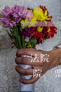法院傳票無法發(fā)出可以開庭嗎(接法院傳票不去開庭會(huì)怎樣)