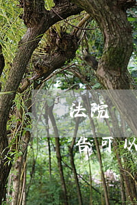 法院傳票由原告送達可以嗎(傳票不能送達被告可以開庭審理嗎)