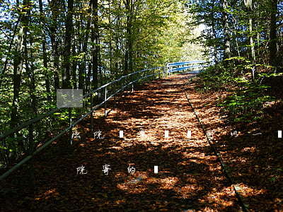 法院傳票編號可以一樣嗎(法院傳票會注明法院寄的嗎)