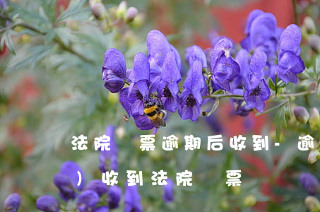 法院傳票逾期后收到-逾期多久會(huì)收到法院傳票
