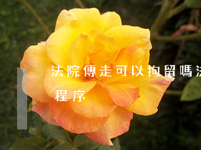 法院傳走可以拘留嗎(法院拘留人需要走什么程序)