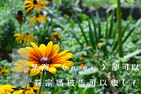 法院內(nèi)部可以隨便復(fù)印卷宗嗎(被告可以復(fù)印全部卷宗么)