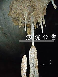 法院公告可以撤銷嗎(法院立案能撤銷嗎)