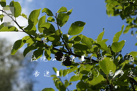 法院公告送達(dá)后可以開庭嗎(法院公告送達(dá)后多久開庭)