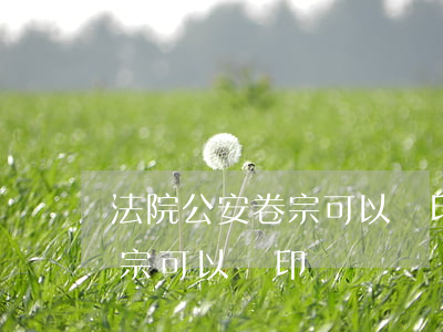 法院公安卷宗可以復印嗎(執(zhí)行卷宗可以復印嗎)