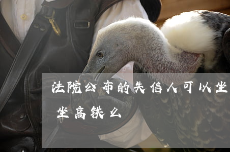 法院公布的失信人可以坐高铁吗(失信人可以坐高铁么)
