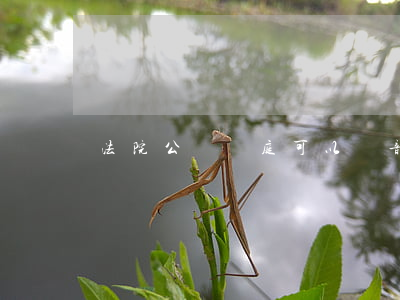 法院公開開庭可以錄音嗎(法院開庭可以錄像嗎)