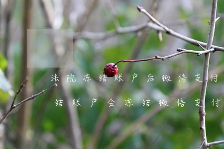 法院冻结账户后微信支付宝可以用吗(法院冻结账户会冻结微信支付宝吗)