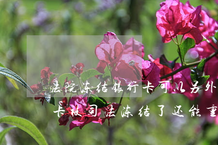 法院冻结银行卡可以另外办一张吗(一张银行卡被司法冻结了还能重新办一张吗)