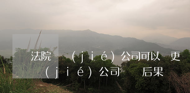 法院凍結(jié)公司可以變更嗎(法院凍結(jié)公司賬戶后果)