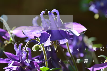 法院凍結(jié)可以注銷嗎(法院取消凍結(jié)資產(chǎn)需要多久)