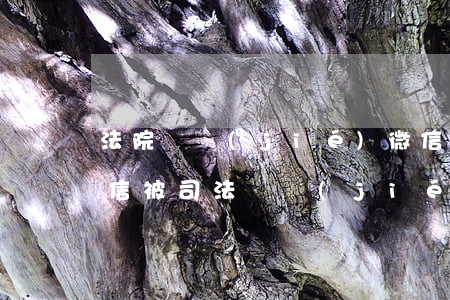 法院凍結(jié)微信自己可以解凍嗎(微信被司法凍結(jié)怎么解除)