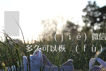 法院凍結(jié)微信零線(xiàn)多久可以恢復(fù)嗎(法院凍結(jié)微信零錢(qián)下一步)