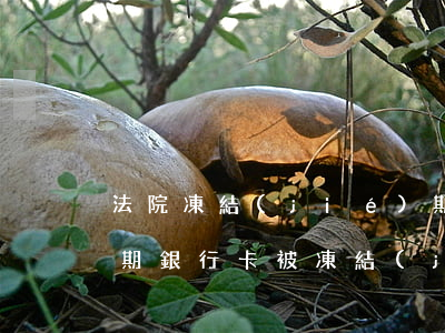 法院凍結(jié)期間房貸逾期嗎(房貸逾期銀行卡被凍結(jié))