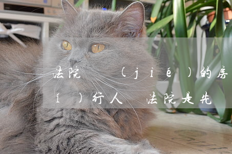 法院凍結(jié)的房子可以給執(zhí)行人嗎(法院是先凍結(jié)財產(chǎn)還是先通知被執(zhí)行人)