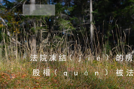 法院凍結(jié)的房屋可以不走拍賣嗎(股權(quán)被法院凍結(jié)可以拍賣嗎)
