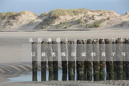 法院凍結(jié)的房產(chǎn)可以銷售嗎(按揭的房子可以被法院查封凍結(jié)嗎)