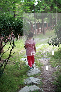 法院凍結(jié)的股權(quán)可以調(diào)解轉(zhuǎn)讓嗎(股權(quán)被法院凍結(jié)可以注銷嗎)