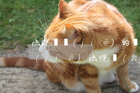 法院凍結(jié)的車可以用嗎(車被凍結(jié)法院會(huì)通知嗎)
