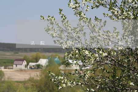 法院凍結(jié)的車可以過(guò)戶嗎(法院凍結(jié)的車輛如果賣掉會(huì)坐牢嗎)