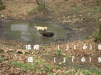 法院凍結(jié)的錢可以部分解封嗎(司法凍結(jié)的錢怎么解凍)