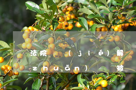 法院凍結(jié)解凍后可以匯錢嗎(轉(zhuǎn)賬錢被凍結(jié)什么時候可以解凍)
