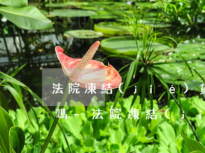 法院凍結(jié)貸款卡后逾期影響征信嗎-法院凍結(jié)貸款卡后逾期影響征信嗎怎么辦